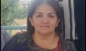 Nazirin məlumatı var? Sabirabadda bağça müdirəsi Sevinc Mikayılovanın polis ŞƏHİD ANASINA qarşı “üsyanı”- Videofakt